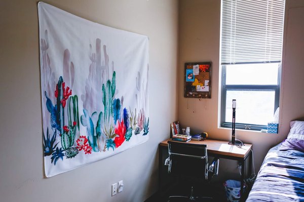 Tapisserie murale : partez à la découverte de la nouvelle tendance de décoration murale