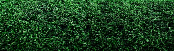 Haie artificielle : qualité et installation facile